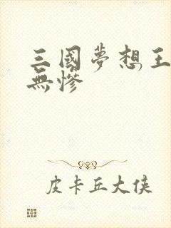 三国梦想王元姬无惨封面