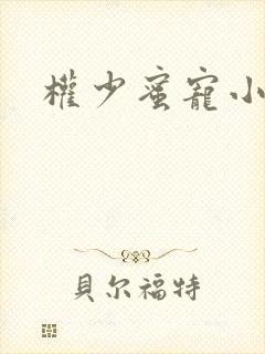 权少蜜宠小娇妻