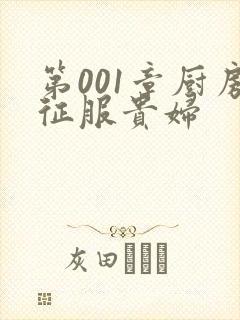 第001章厨房征服贵妇封面