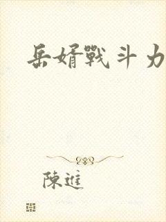 岳婿战斗力