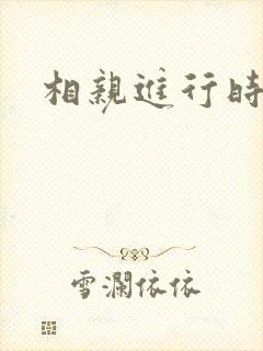 相亲进行时封面