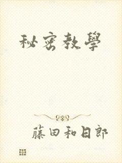 秘密教学封面