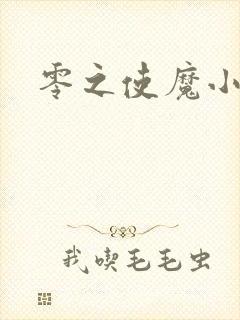 零之使魔小说