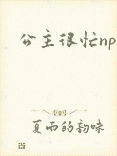 公主很忙npc