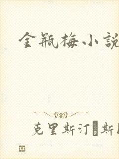 金瓶梅小说在线