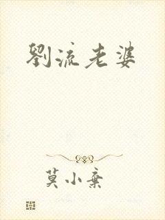 刘流老婆