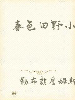春色田野小说封面