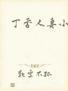 丁香人妻小说