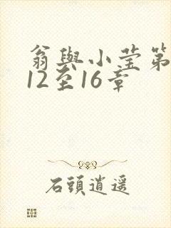 翁与小莹第十部12至16章