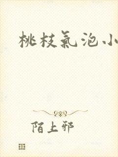 桃枝气泡小说