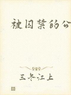 被囚禁的公主