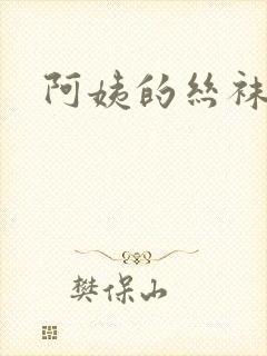阿姨的丝袜小说