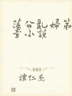 荡公乱妇第51章小说封面