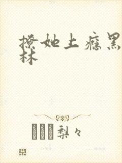 撩她上瘾黑暗森林封面