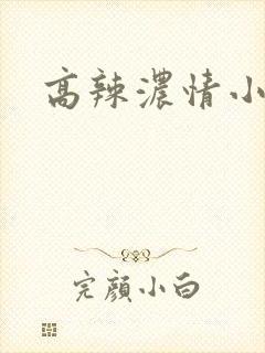 高辣浓情小说