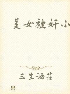 美女被奸小说封面