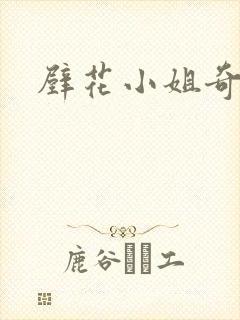 壁花小姐奇遇记