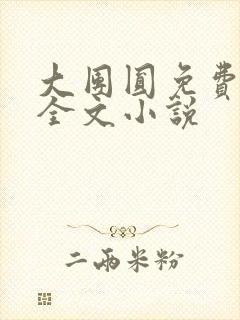 大团圆免费阅读全文小说封面