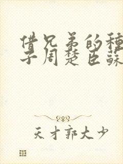 借兄弟的种生孩子周楚臣苏糖
