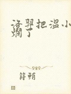 洛羿把温小辉做烂了封面