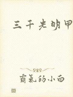 三千光明甲