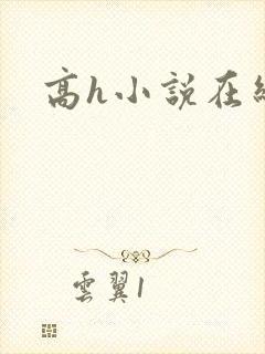 高h小说在线看