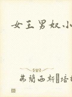 女王男奴小说