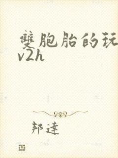 双胞胎的玩具1v2h