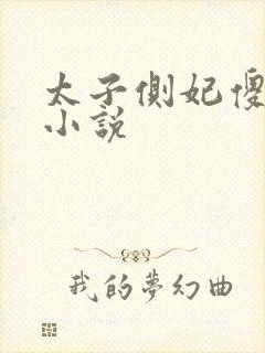 太子侧妃傻乎乎小说