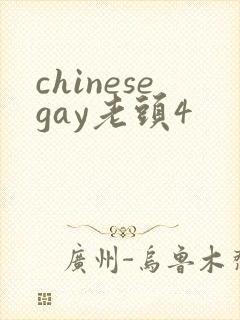 chinesegay老头4