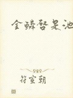 金鳞启是池中物封面