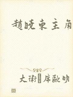 赵晓东主角小说