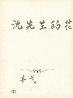 沈先生的花式