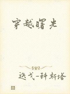 穿越曙光封面