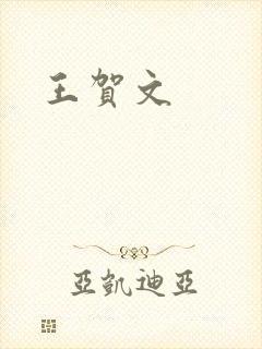 王贺文
