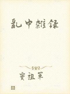 乱中杂录