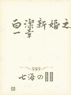 白洁新婚之夜第一章