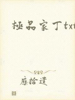 极品家丁txt