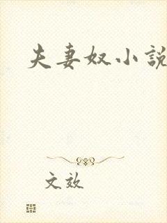 夫妻奴小说封面
