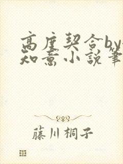 高度契合by洛知意小说笔趣阁无弹窗