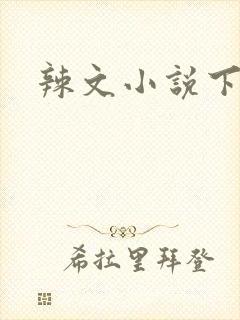 辣文小说下载