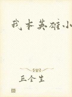 我本英雄小说