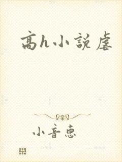 高h小说虐封面
