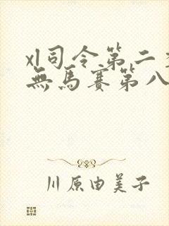 xl司令第二季无马赛第八集