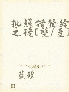 批照错发给情敌之后[双/产]