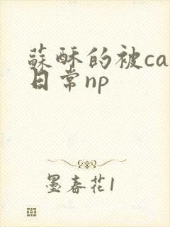 苏酥的被cao日常np封面