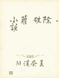 小萝 破除 小说封面