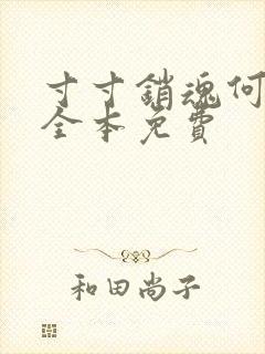 寸寸销魂何生祥全本免费