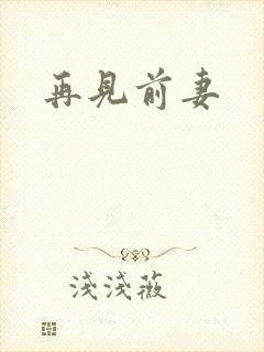 再见前妻
