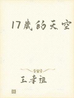 17岁的天空封面